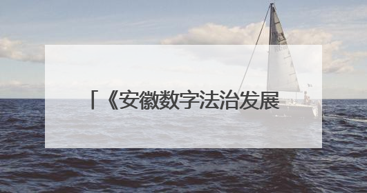 《安徽数字法治发展报告NO.1（2025）》蓝皮书发布