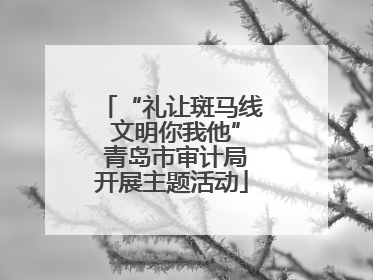 “礼让斑马线 文明你我他” 青岛市审计局开展主题活动