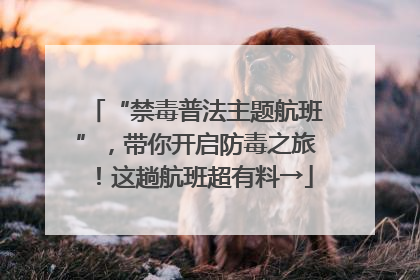 “禁毒普法主题航班”，带你开启防毒之旅！这趟航班超有料→