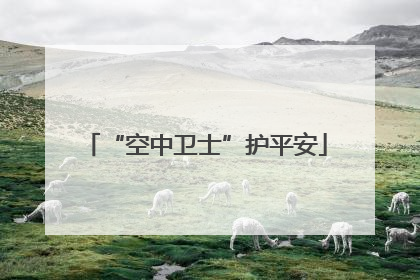 “空中卫士”护平安
