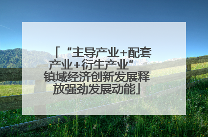“主导产业+配套产业+衍生产业” 镇域经济创新发展释放强劲发展动能