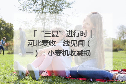 “三夏”进行时｜河北麦收一线见闻（一）：小麦机收减损“竞技” 农机高手麦田“过招”