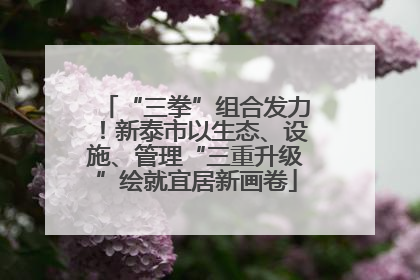 “三拳”组合发力！新泰市以生态、设施、管理“三重升级”绘就宜居新画卷
