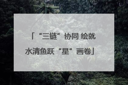 “三链”协同 绘就水清鱼跃“星”画卷
