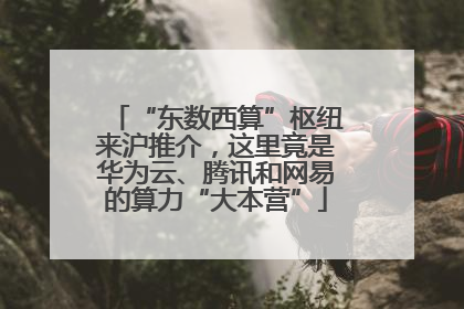 “东数西算”枢纽来沪推介，这里竟是华为云、腾讯和网易的算力“大本营”