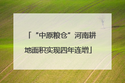 “中原粮仓”河南耕地面积实现四年连增