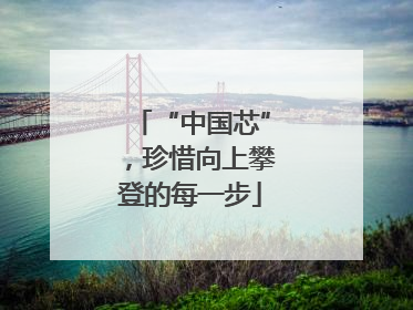 “中国芯”，珍惜向上攀登的每一步