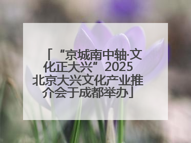 “京城南中轴·文化正大兴”2025北京大兴文化产业推介会于成都举办
