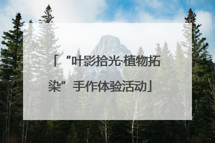 “叶影拾光·植物拓染”手作体验活动