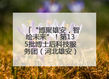 “博聚雄安，智绘未来”！第135批博士后科技服务团（河北雄安）活动成功举办