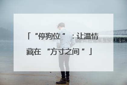 “停狗位 ”：让温情藏在 “方寸之间 ”
