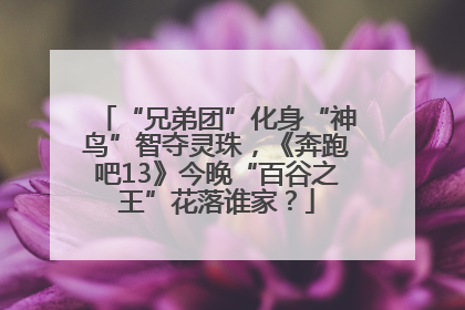 “兄弟团”化身“神鸟”智夺灵珠，《奔跑吧13》今晚“百谷之王”花落谁家？