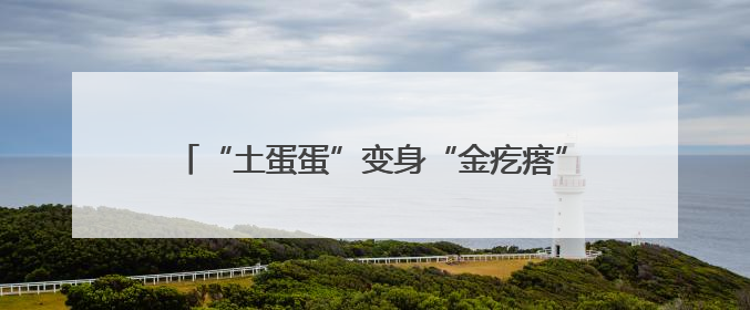 “土蛋蛋”变身“金疙瘩”：孙伯镇西程村土豆丰收记