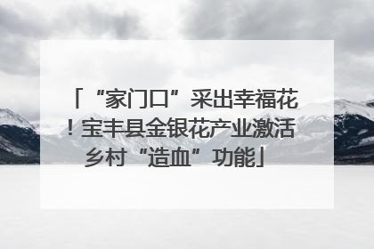 “家门口”采出幸福花！宝丰县金银花产业激活乡村“造血”功能