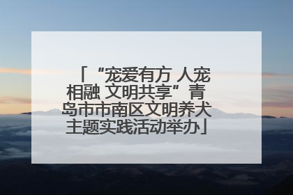 “宠爱有方 人宠相融 文明共享”青岛市市南区文明养犬主题实践活动举办