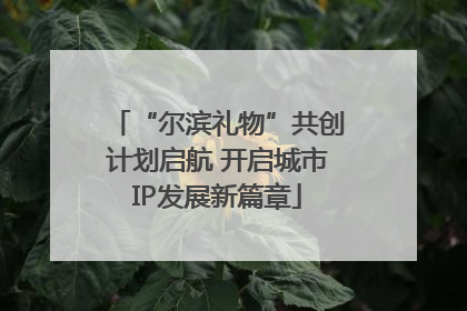 “尔滨礼物”共创计划启航 开启城市IP发展新篇章