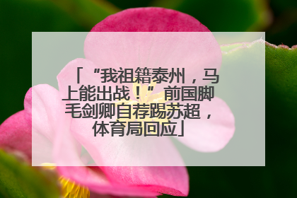 “我祖籍泰州，马上能出战！”前国脚毛剑卿自荐踢苏超，体育局回应