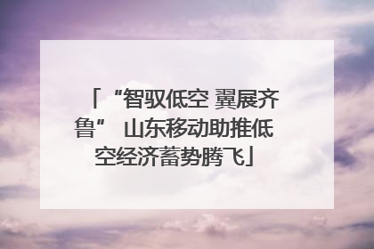 “智驭低空 翼展齐鲁” 山东移动助推低空经济蓄势腾飞
