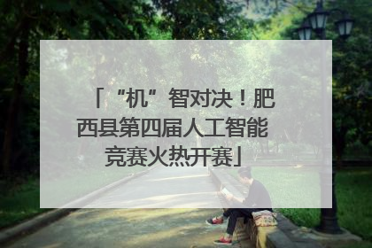 “机”智对决！肥西县第四届人工智能竞赛火热开赛