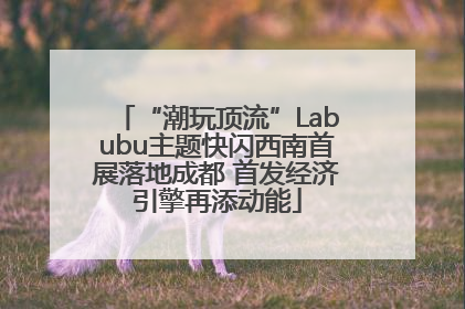 “潮玩顶流”Labubu主题快闪西南首展落地成都 首发经济引擎再添动能
