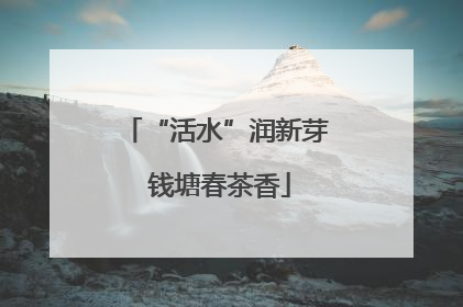 “活水”润新芽 钱塘春茶香