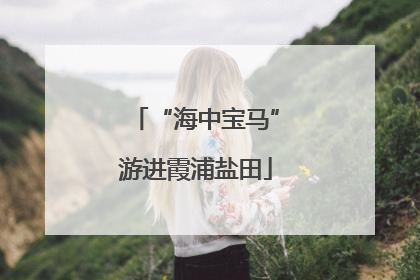“海中宝马”游进霞浦盐田