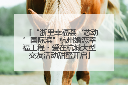 “浙里幸福荟‘芯动’国际滨”杭州婚恋幸福工程・爱在杭城大型交友活动甜蜜开启
