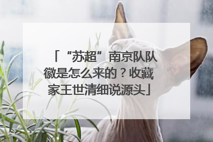 “苏超”南京队队徽是怎么来的？收藏家王世清细说源头