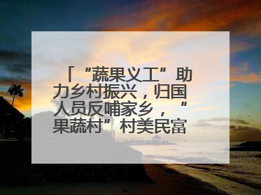 “蔬果义工”助力乡村振兴，归国人员反哺家乡，“果蔬村”村美民富香飘远近