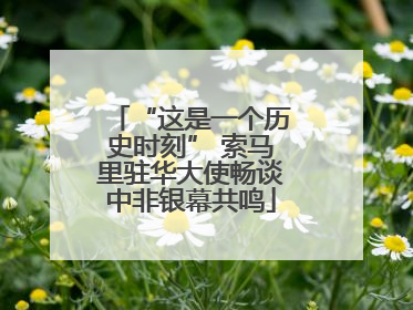 “这是一个历史时刻” 索马里驻华大使畅谈中非银幕共鸣