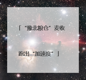 “豫北粮仓”麦收跑出“加速度”