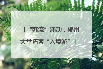 “韩流”涌动，郴州大举拓客“入境游”