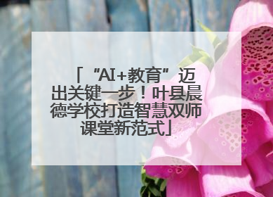 “AI+教育”迈出关键一步！叶县晨德学校打造智慧双师课堂新范式
