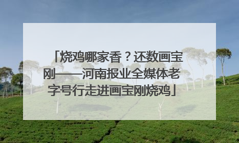 烧鸡哪家香？还数画宝刚——河南报业全媒体老字号行走进画宝刚烧鸡