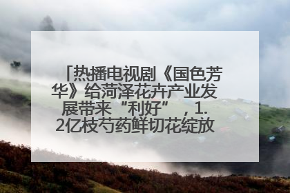 热播电视剧《国色芳华》给菏泽花卉产业发展带来“利好”，1.2亿枝芍药鲜切花绽放“国色芳华”