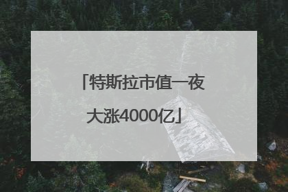 特斯拉市值一夜大涨4000亿