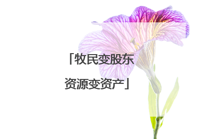 牧民变股东 资源变资产