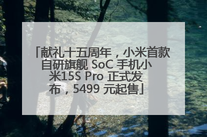 献礼十五周年，小米首款自研旗舰 SoC 手机小米15S Pro 正式发布，5499 元起售