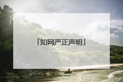知网严正声明