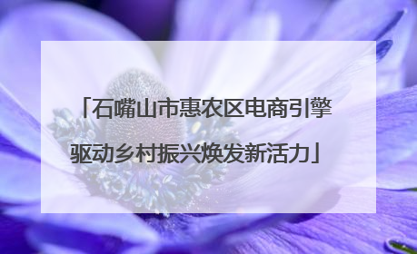 石嘴山市惠农区电商引擎驱动乡村振兴焕发新活力