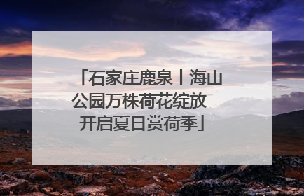 石家庄鹿泉丨海山公园万株荷花绽放 开启夏日赏荷季
