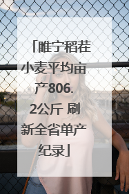 睢宁稻茬小麦平均亩产806.2公斤 刷新全省单产纪录