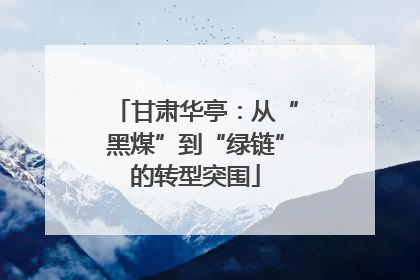 甘肃华亭：从“黑煤”到“绿链”的转型突围