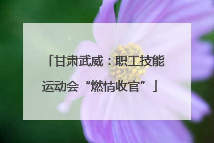 甘肃武威：职工技能运动会“燃情收官”