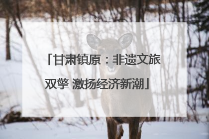 甘肃镇原：非遗文旅双擎 激扬经济新潮