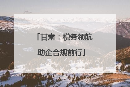 甘肃：税务领航 助企合规前行