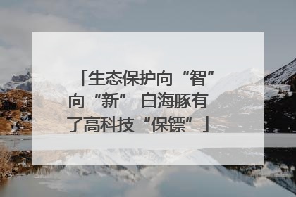 生态保护向“智”向“新” 白海豚有了高科技“保镖”