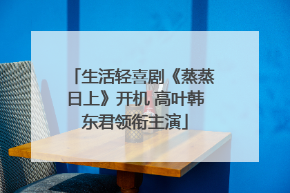 生活轻喜剧《蒸蒸日上》开机 高叶韩东君领衔主演