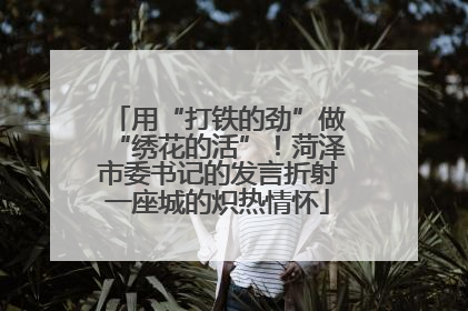 用“打铁的劲”做“绣花的活”！菏泽市委书记的发言折射一座城的炽热情怀