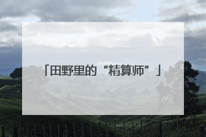 田野里的“精算师”